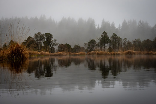 �1757375 �������(a): ����������:4000x2666